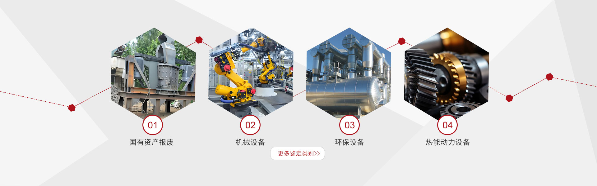 鉴定类别
